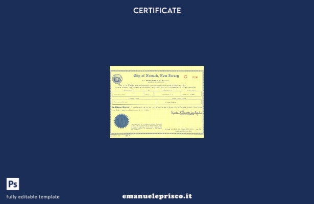 modello di certificato di nascita USA New Jersey in stile verificato